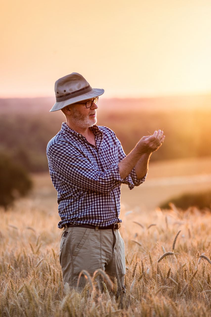 photo corporate, agriculteur dans son champ de blé