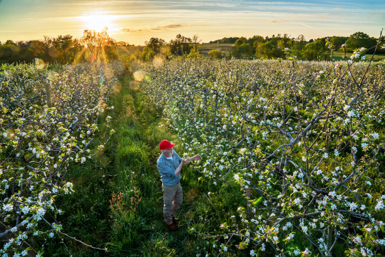 image d'un agriculteur dans son champ de pommier en fleurs